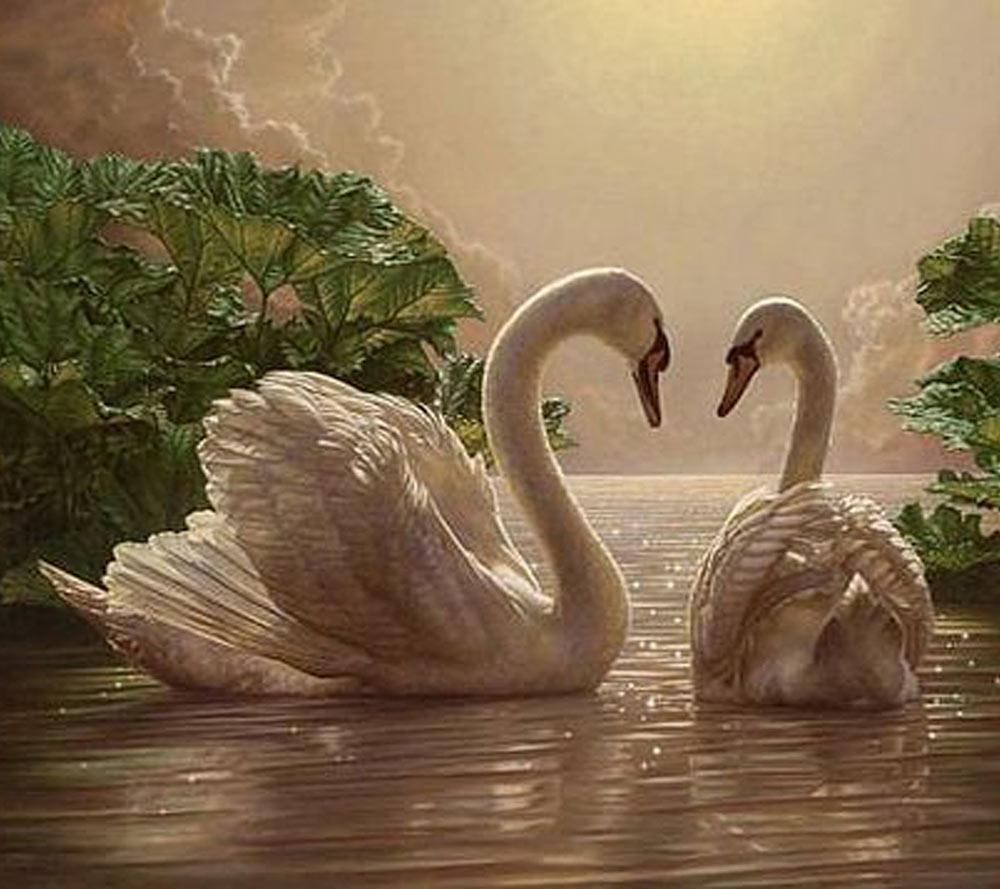 Dream Landscapes Wallpapers