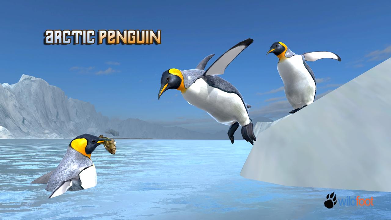 Arctic Penguin