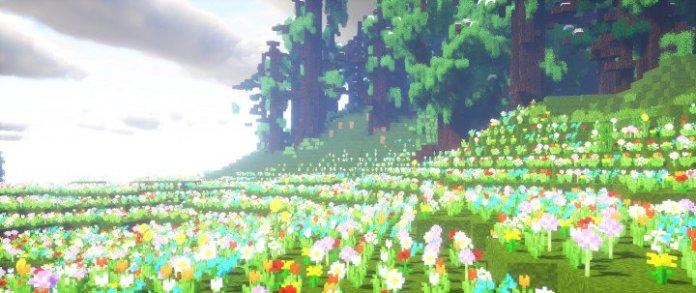 Vibancy Veasons Seasons Material Pack
