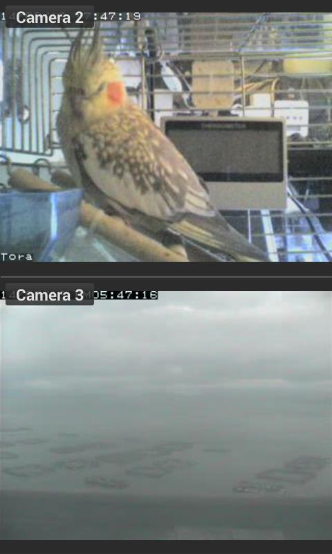 IP Camviewer for Axis