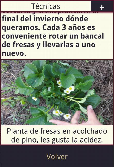 Agenda EcoHuerto