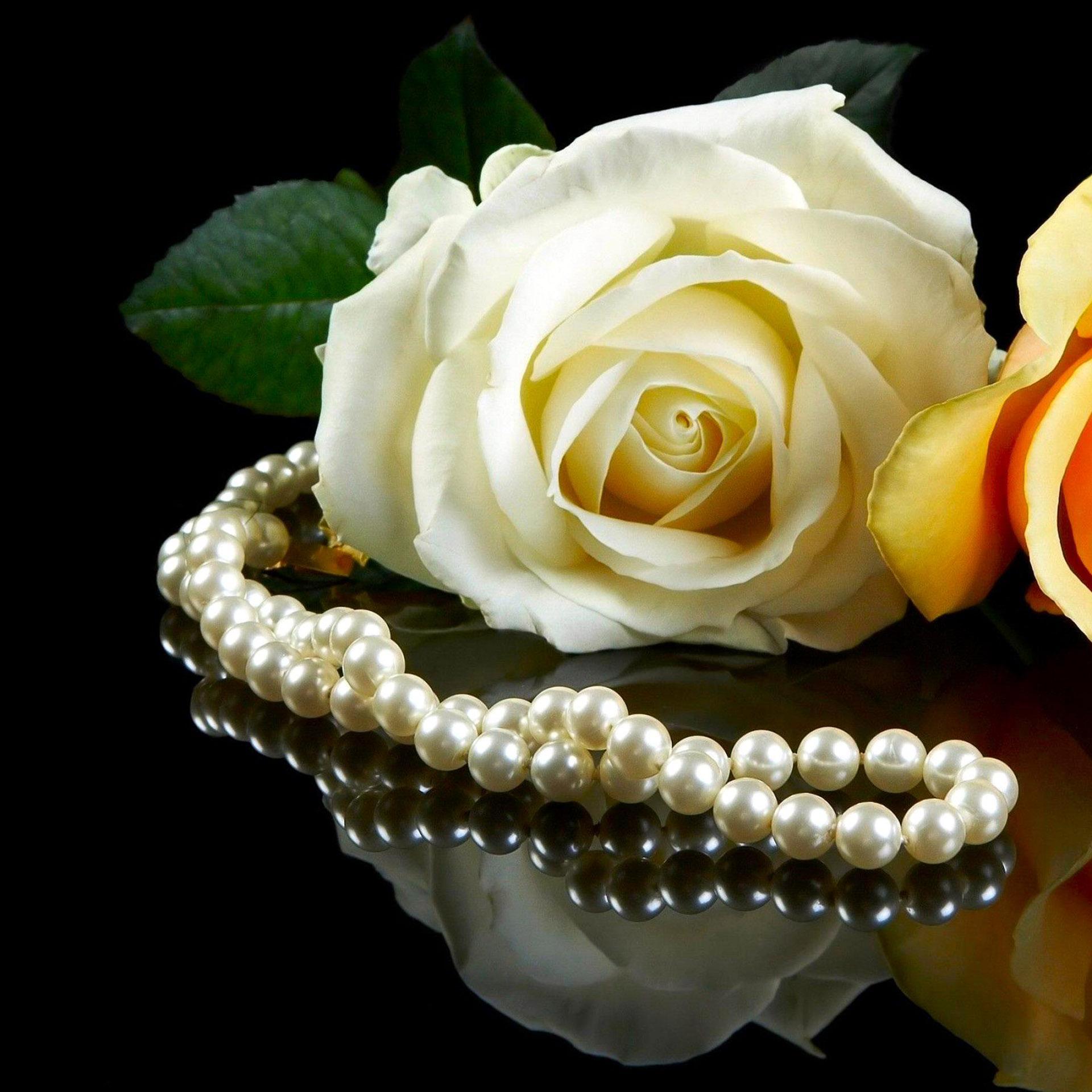 Rose Live Wallpapers