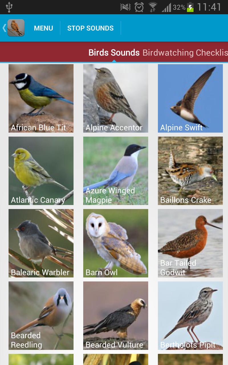 Spanish Birds Sounds Free