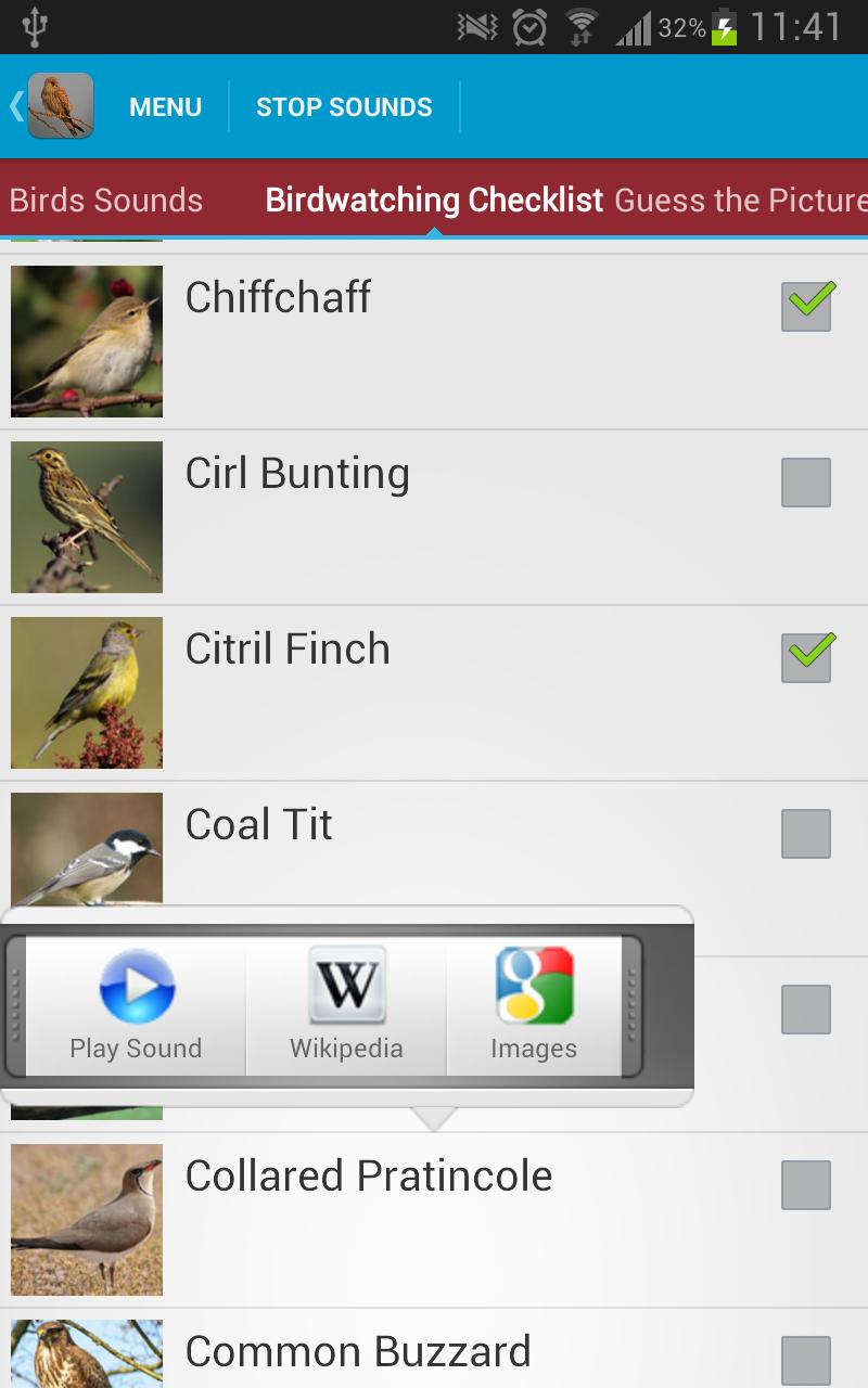 Spanish Birds Sounds Free