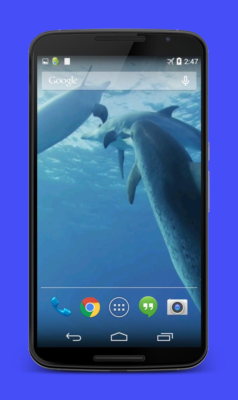Dolphins Video Live Wallpaper