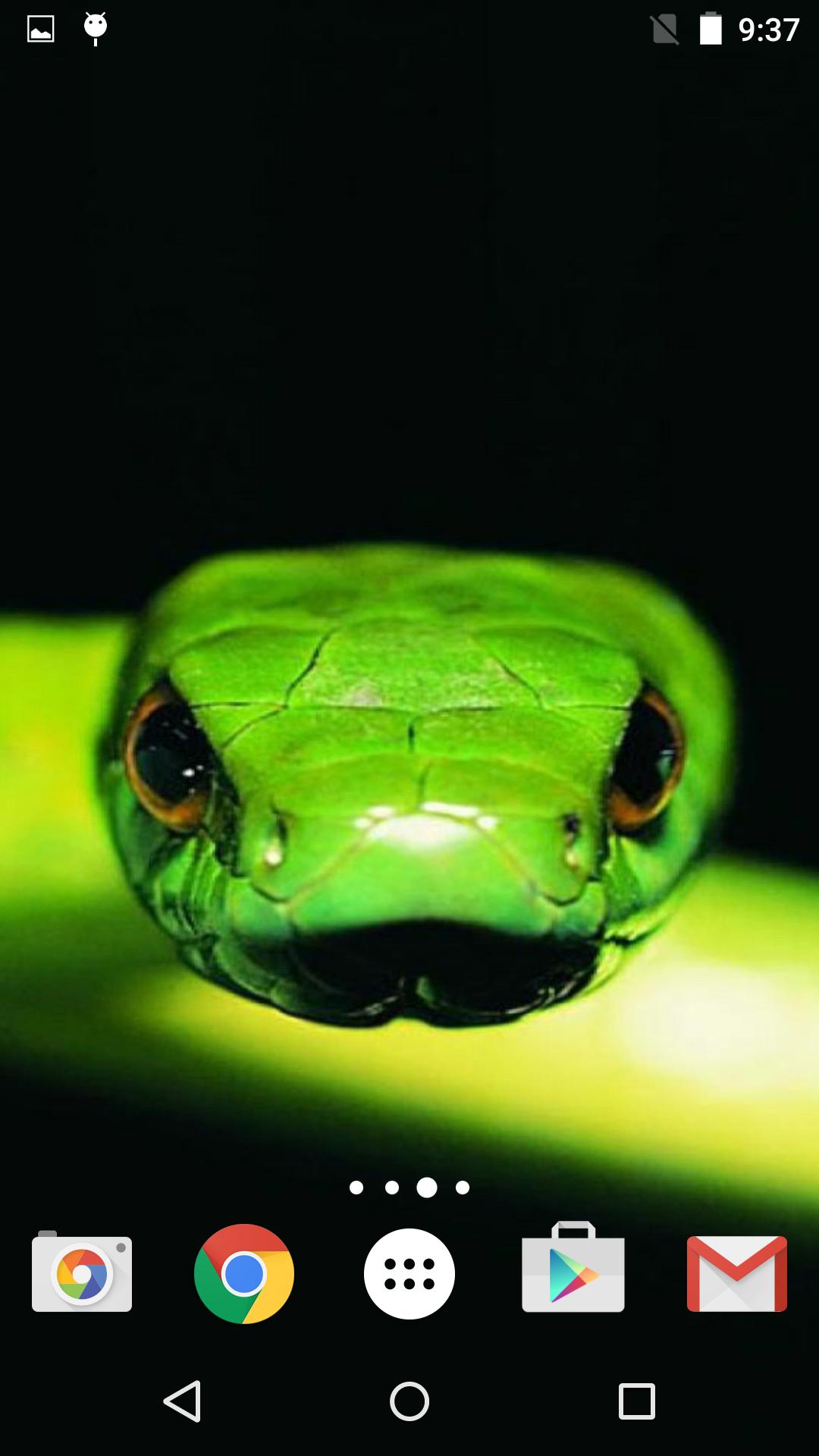 Snakes Live Wallpaper