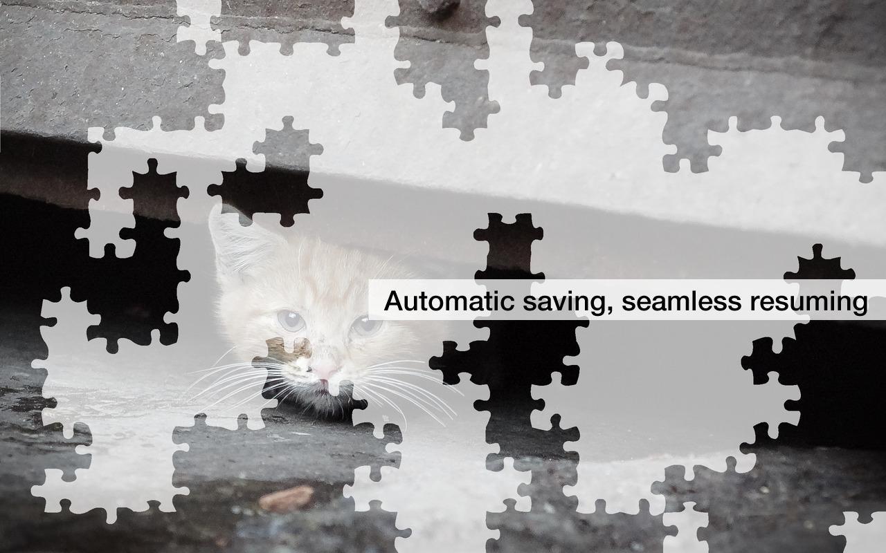 Jigsaw Puzzles: More Kittens
