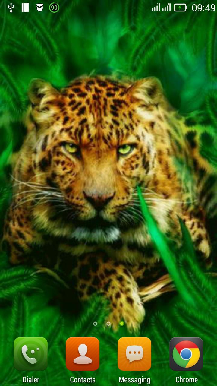 Hunting tiger