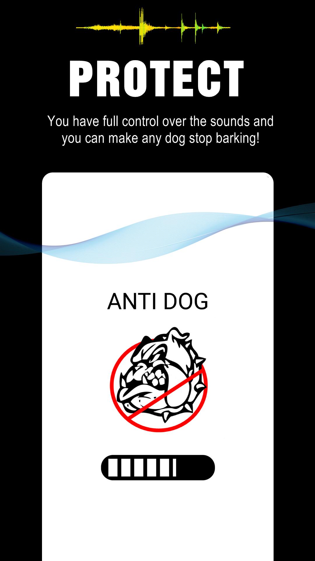 chasing dogs