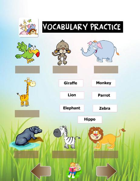 Animal Vocabulary practice