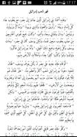 Arabic Bible