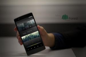 Misty Forest Theme