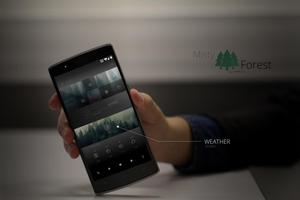 Misty Forest Theme
