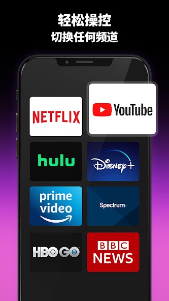 TV remote control for Roku