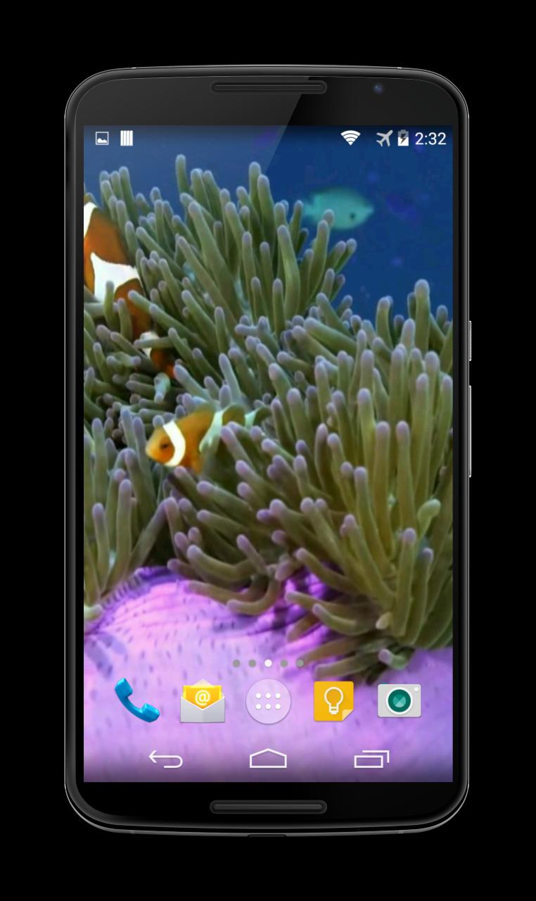 Aquarium Video Live Wallpaper