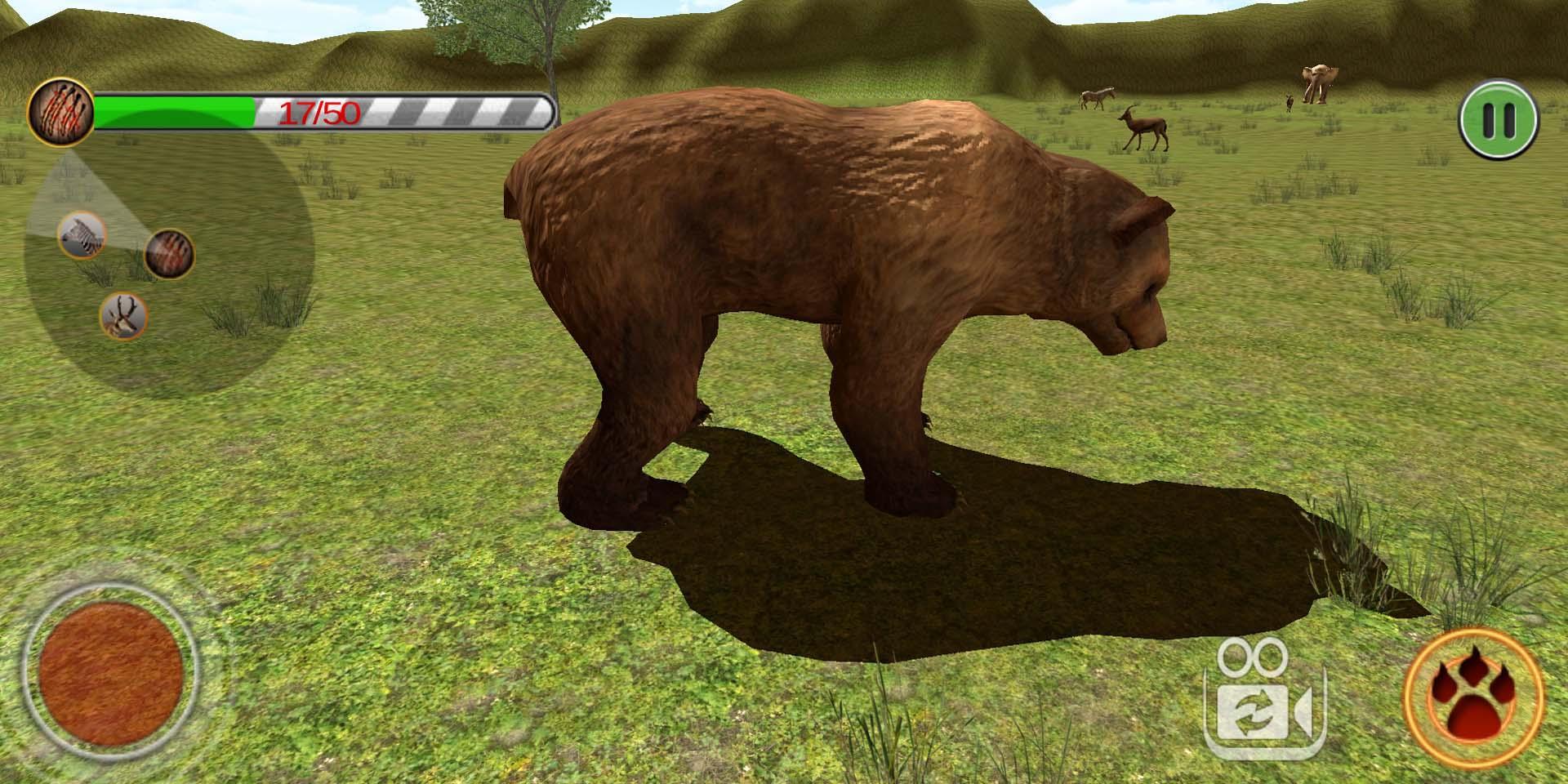 bear hunting