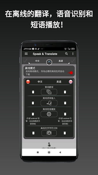 Offline translator S&T
