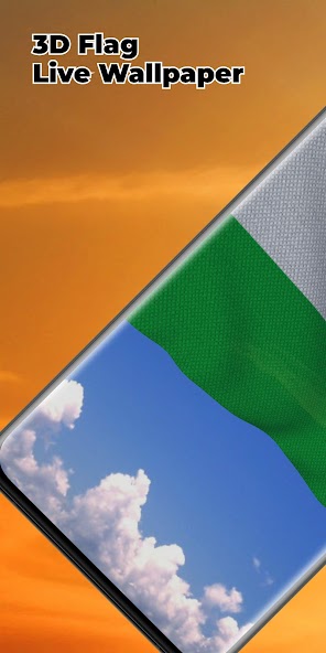 Niger Flag
