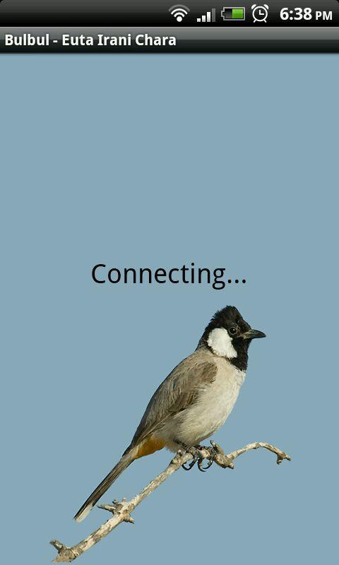 Bulbul - Euta Irani Chara