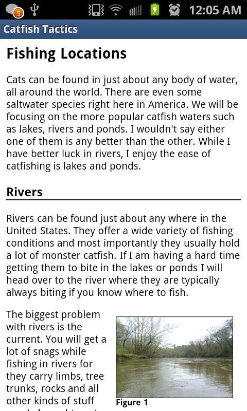 Catfish Tactics & Secret Baits