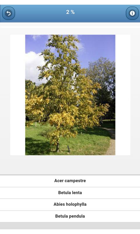 Trees - quiz