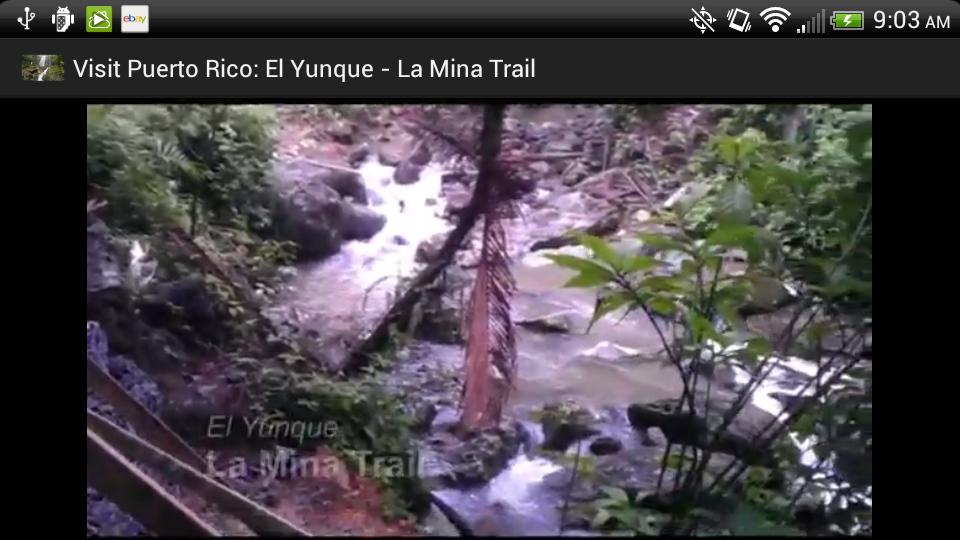 Visit Puerto Rico: El Yunque