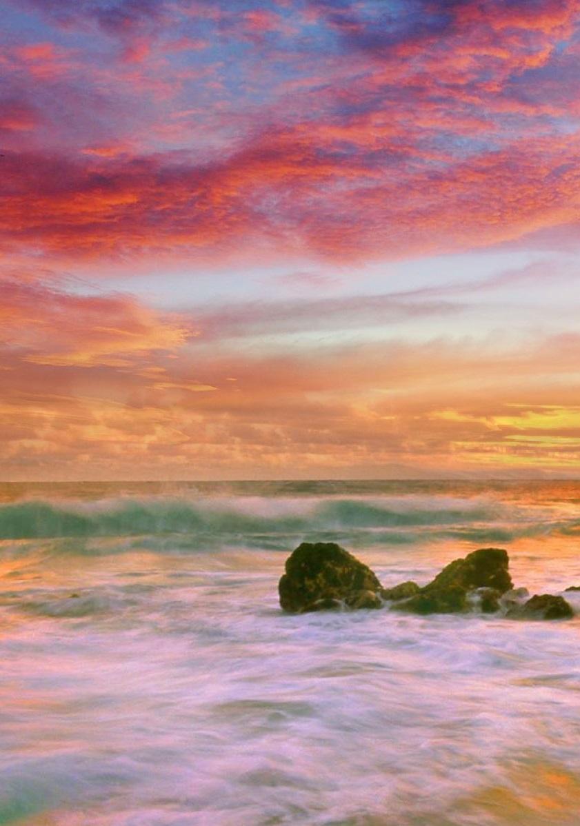 BRAIN WAVES (Binaurals)