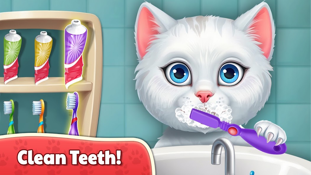 My Kitty Daycare Salon Cute