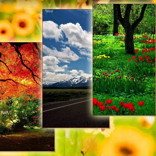 Nature Wallpapers 1