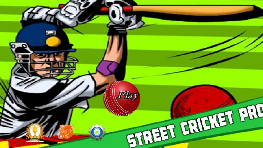Street Cricket Pro