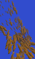 Fish swarm Live Wallpaper FREE