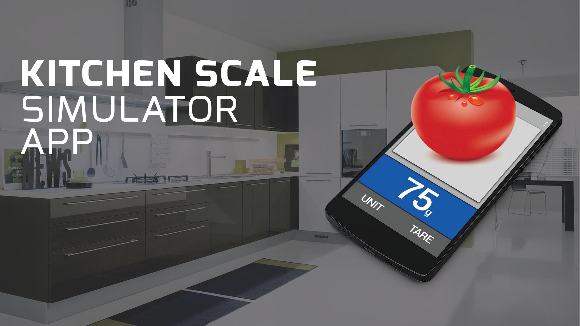 Kitchen Scale simulator fun