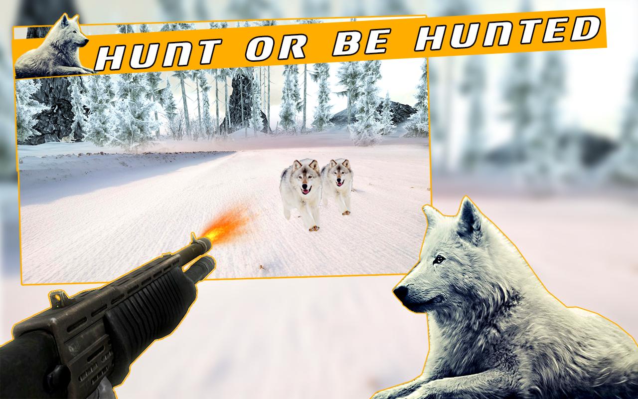 Jungle Wolf Attack 2016