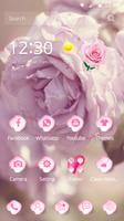 theme rose pink petal pretty