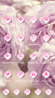 theme rose pink petal pretty