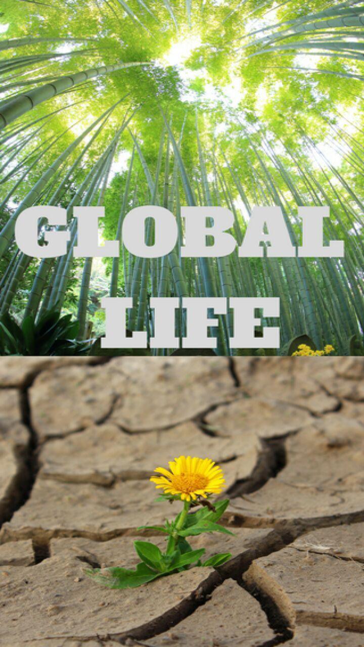 GLOBAL LIFE