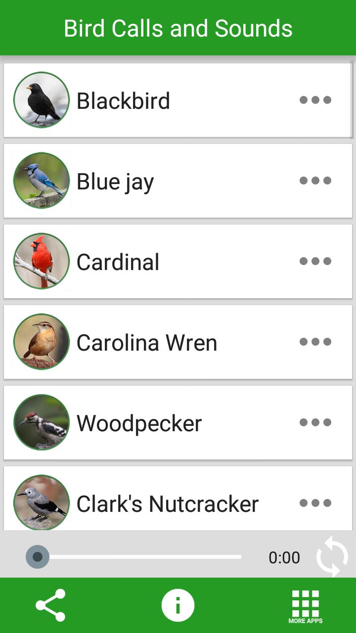 Bird Calls and Sounds