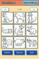 Coloring Page - Animal