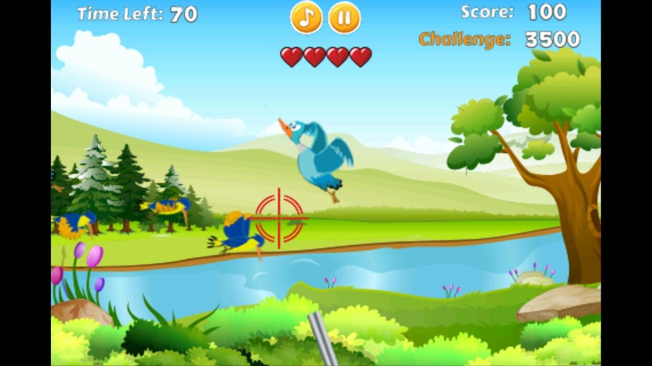 Duck Hunting Madness