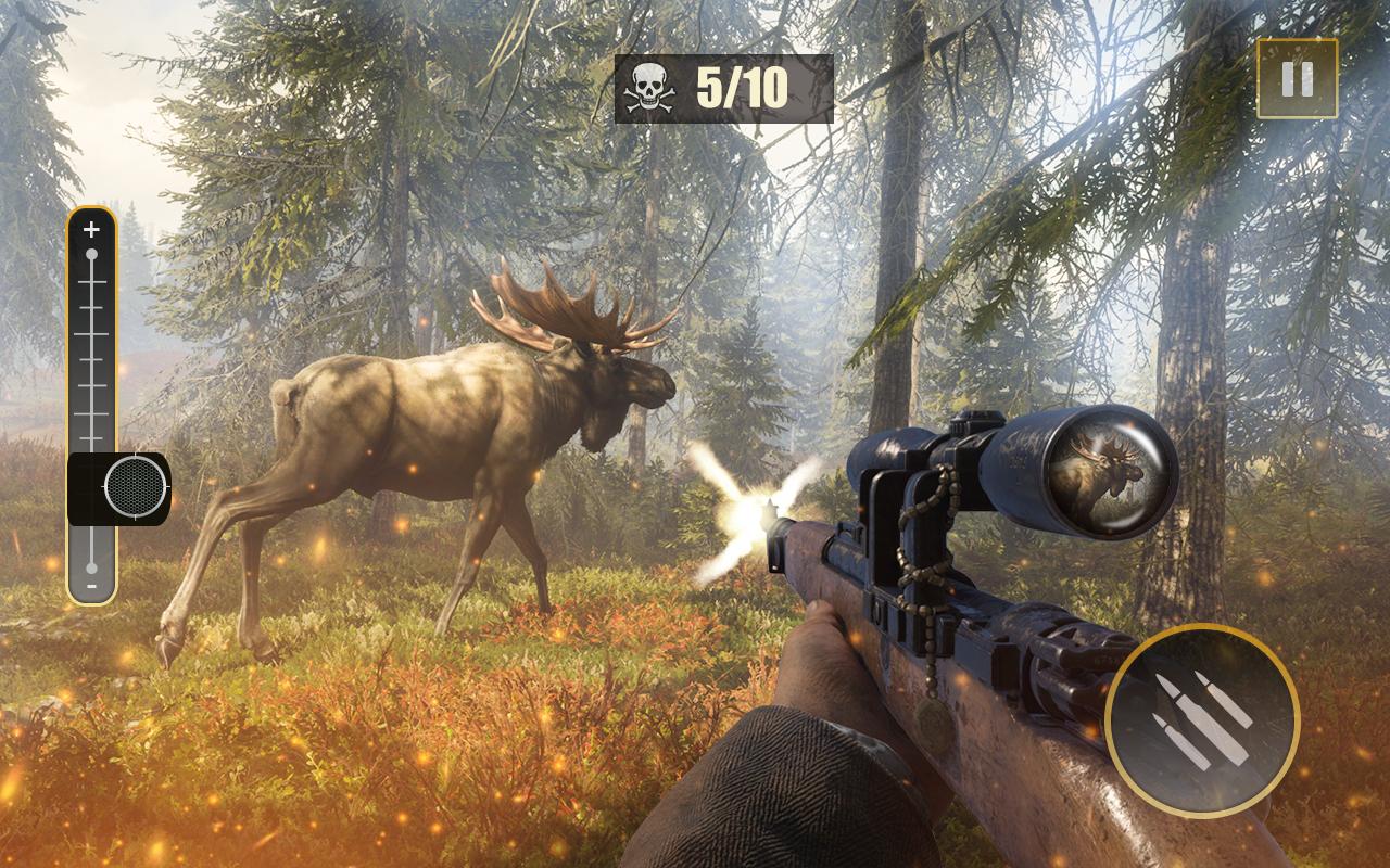 Jungle Animal Shooting Game -