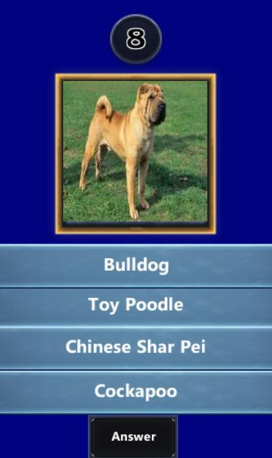 Quizup the Dog breed