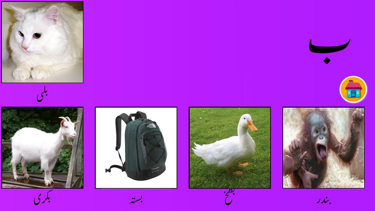 My first book of Urdu Alif Bay Pay Tay