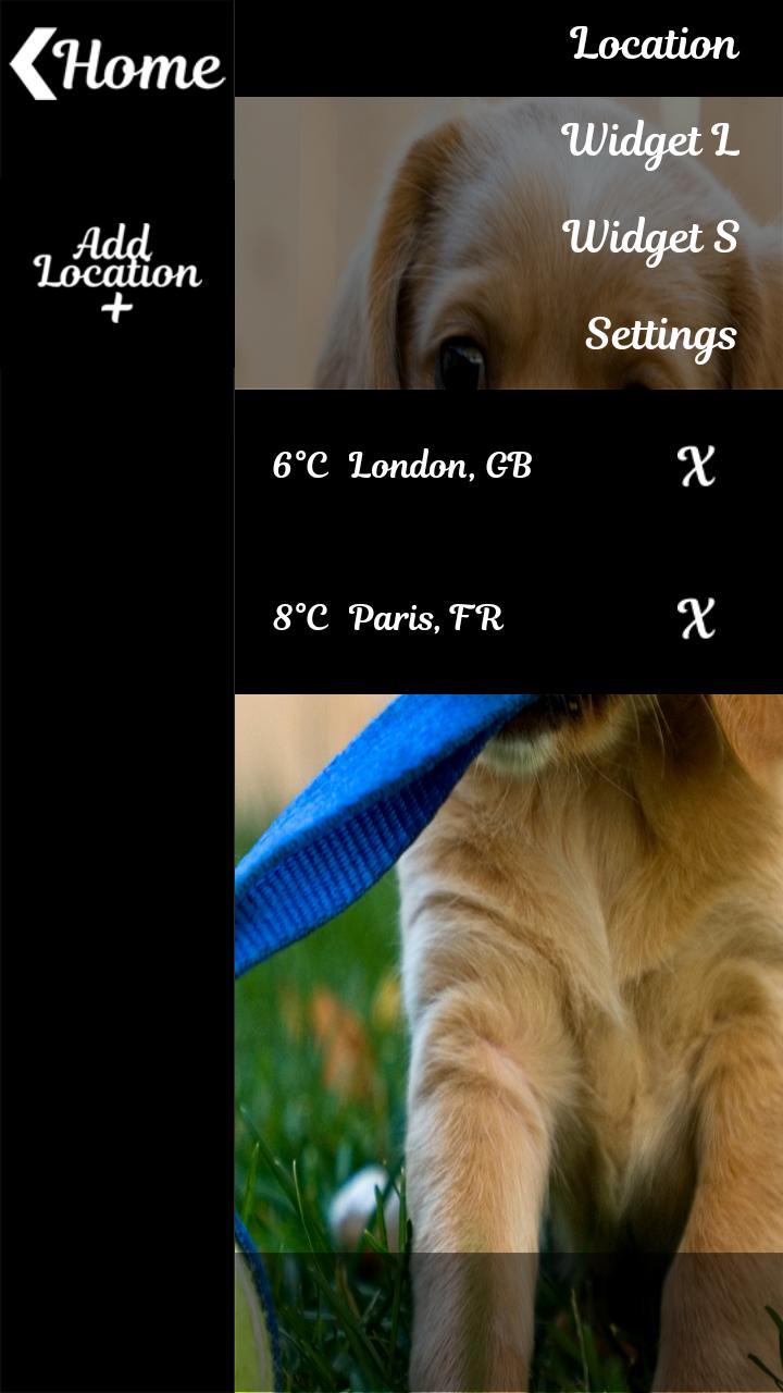 Puppy Weather Clock Widget