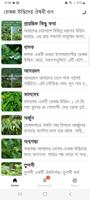 Herbal Plant Medicine (Bangla)