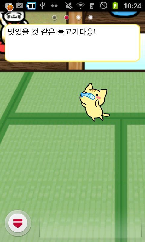 Cat : Live Wallpaper