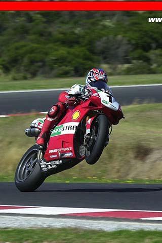 Neil Hodgson Ducati Puzzle