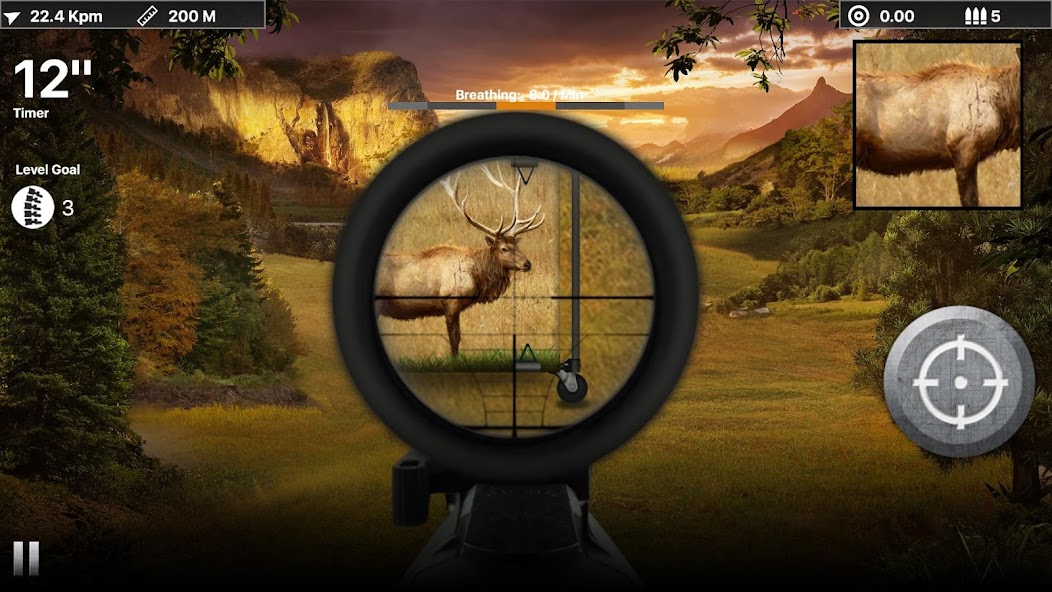Deer Target Hunting - Pro