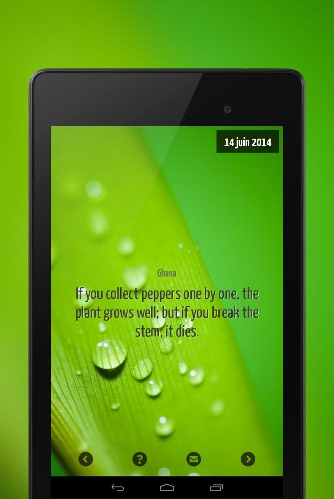 An african quote per day