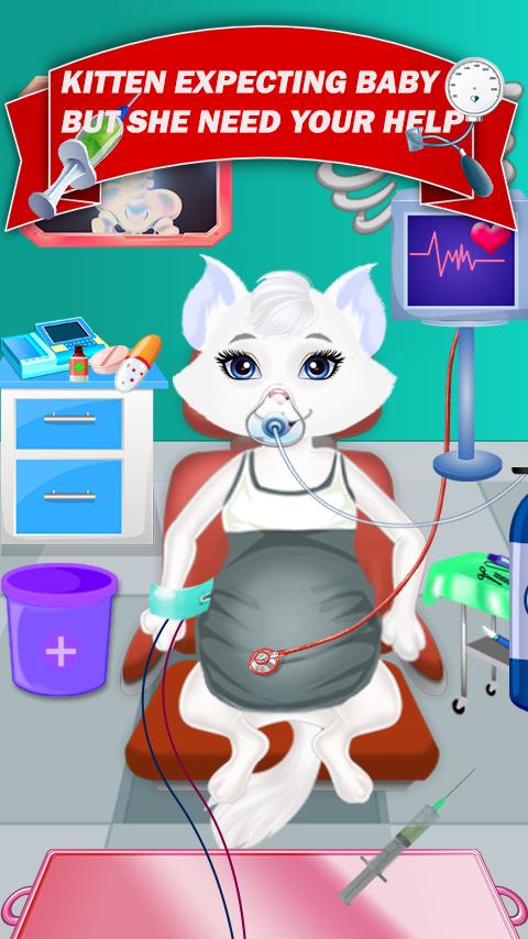 Pregnant Cat Gives Birth