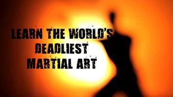 Black Mantis Kung Fu